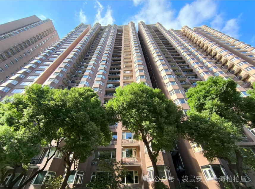 6913fd000141a.png 5.png