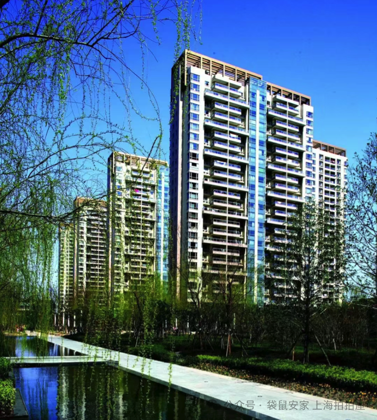 69cb45ed80638.png 5.png