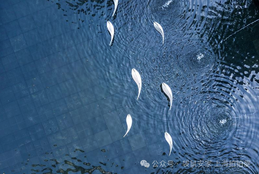 69cb45f949429.png 7.png